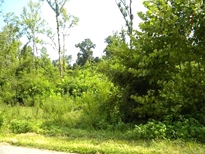 Sold!  3.4177 acres on Moore Rd in Highland Park in Williamsburg | possible multiple sites $49,000