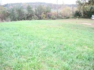 Sold! 11405 Cumberland Falls Hwy |  4 awesome acres with road frontage  on Hwy 25w  $67,500