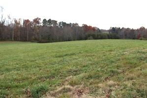 Sold! Snow White Lane | Free Gas! 11.69 acres of Windridge Farm with a pond and partly fenced. $99,000