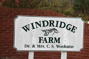Sold! Snow White Lane | Free Gas! 11.69 acres of Windridge Farm with a pond and partly fenced. $99,000