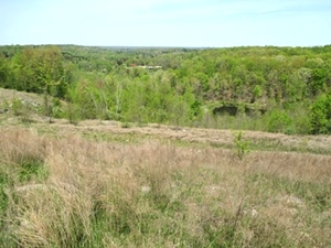 Sale Pending!!  MASON HOLLOW RD, FABER | Fabulous site for hunting, four wheeling and fishing!