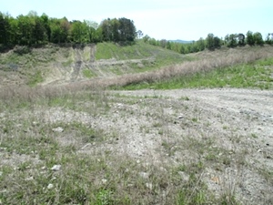 Sale Pending!!  MASON HOLLOW RD, FABER | Fabulous site for hunting, four wheeling and fishing!
