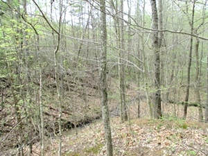 SOLD!! Tidal Wave/Corinth Rd. | Hunters Paradise! Attention deer and turkey hunters! 110 acres of surveyed property 