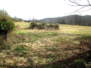 2694 Buck Creek Road. | 10 acres +/- that lays really well. Road frontage, well on property, county water available