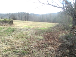 2694 Buck Creek Road. | 10 acres +/- that lays really well. Road frontage, well on property, county water available