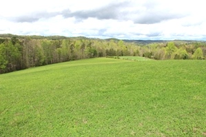 Sold! 1764 Rocky Point Rd., Williamsburg   (FREE GAS) | Ridge view farm consisting of 19.68 well maintained, surveyed and fenced acres, 
