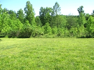 SOLD Walker Mill Road | 124 +/- acres of varying terrain with large pond and 3 gas wells.