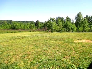 SOLD Walker Mill Road | 124 +/- acres of varying terrain with large pond and 3 gas wells.