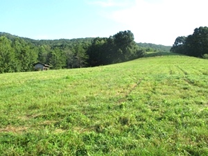 Sold! 1026 Brown’s Ck. Rd., Wmsbg  | 40 acres w/a nice house site, well and septic already on site. 