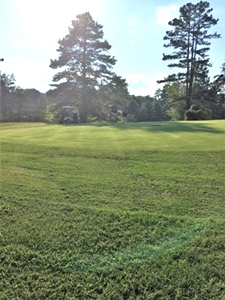 Golf Course | 9 hole course on approximately 100 acres 