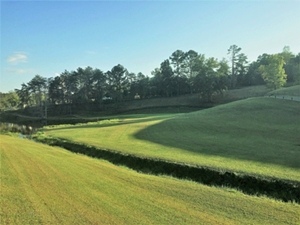 Golf Course! The equipment you need and a perpetual lease on 100 +/- acre 9 hole golf course.