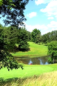 Golf Course! The equipment you need and a perpetual lease on 100 +/- acre 9 hole golf course.