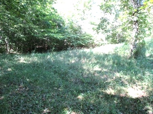 SOLD  27.436 surveyed acres on Ryan's Creek in Whitley County | Good hunting!