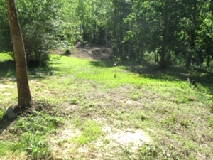 Sold! Ryan's Creek  |  25.43 acres by survey borders Daniel Boone National Forest and located on Ryan’s Creek. 