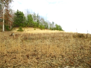 Sold! Log Cabin Rd. Looking for a place to build or place your home? Look no more! This .79 acre lot