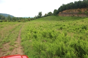 Rapier Hollow, Knox Co. | 183.72 surveyed acres in Knox Co..with great potential as a hunting and recreation property