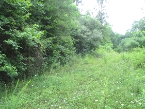 Sanders Creek | 3.91 acres more or less with a septic system